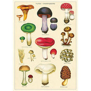 Decorative Paper 19.75 x 27.5 - Art Department LLC