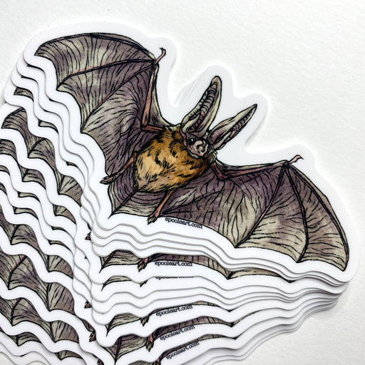 Townsend's Big-Eared Bat Vinyl Sticker