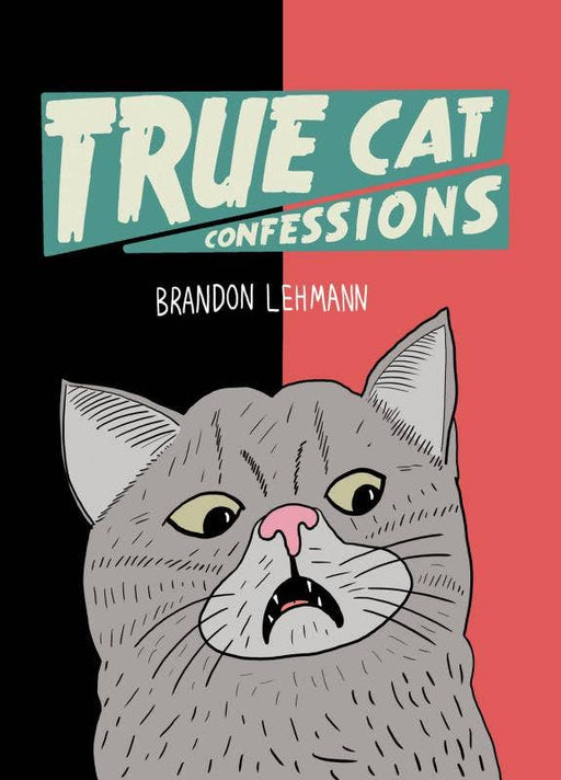 True Cat Confessions Zine