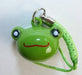 Painted Brass Bell Zipper Pulls, Frog head