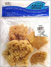 Sponge Sets - Art Department LLC