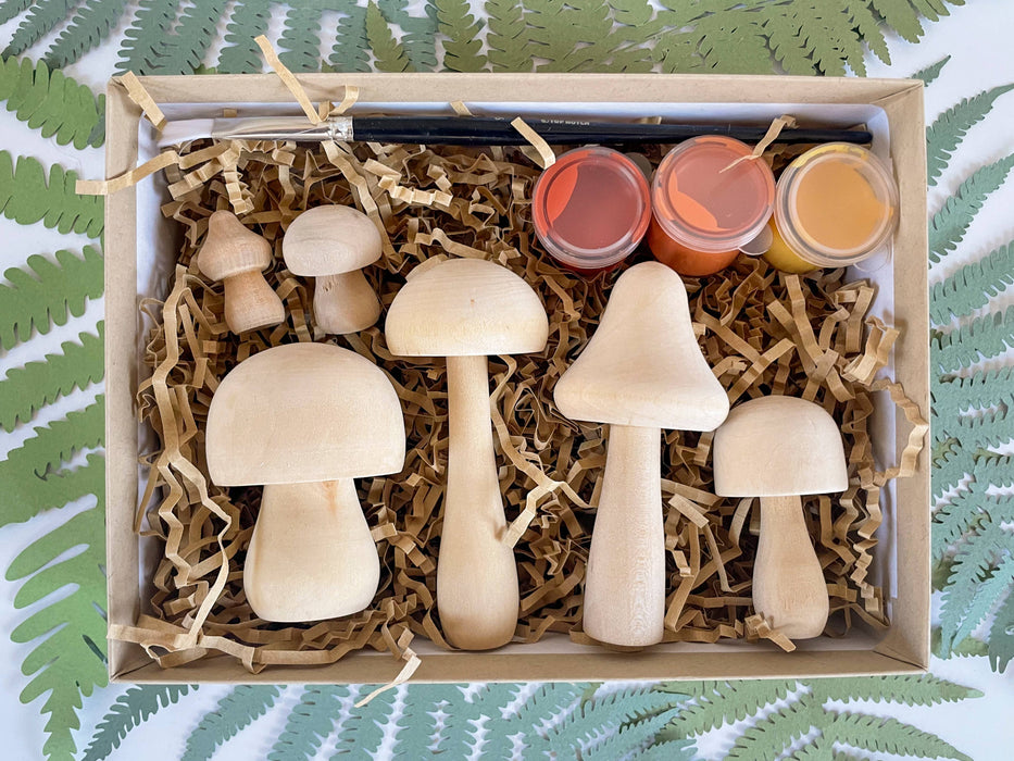 DIY Painted Mushroom Craft Kit