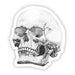 Skull Sticker (Black and White) | Big Moods