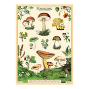 Decorative Paper 19.75 x 27.5 - Art Department LLC