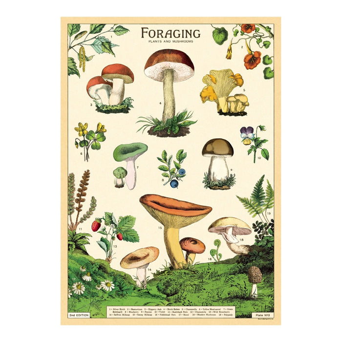 Cavallini & Co. Decorative Paper 19.75 x 27.5