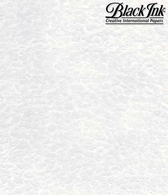 Lace White TR - 1540 - Art Department LLC