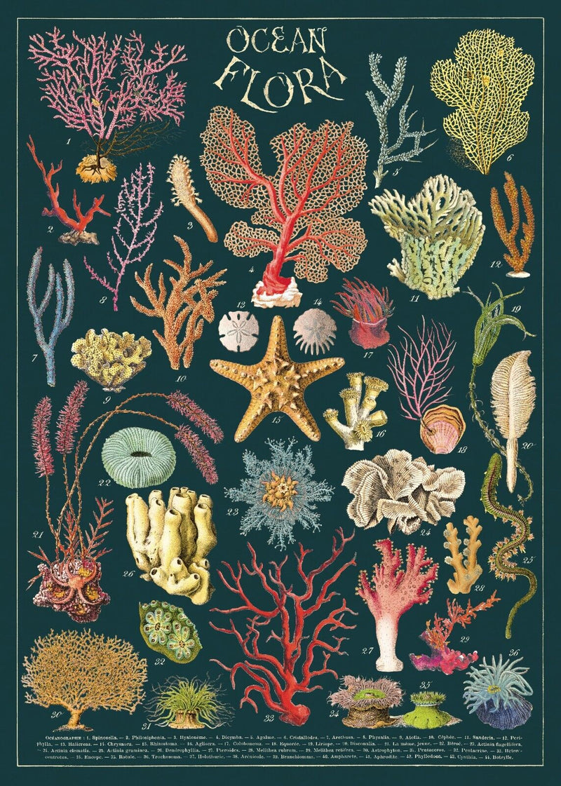 Decorative Paper 19.75 x 27.5 - Art Department LLC