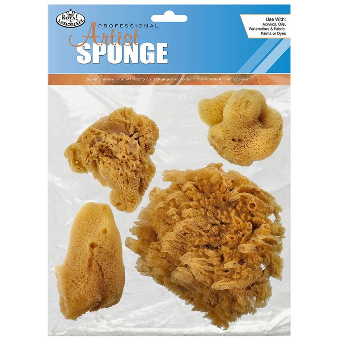 Sponge Sets | Royal Brush