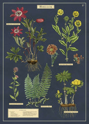 Decorative Paper 19.75 x 27.5 - Art Department LLC