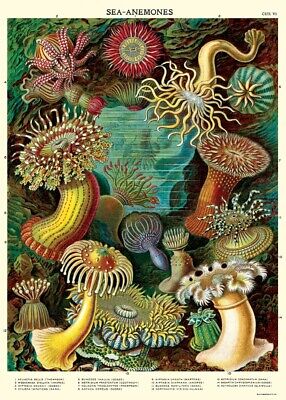 Decorative Paper 19.75 x 27.5 - Art Department LLC